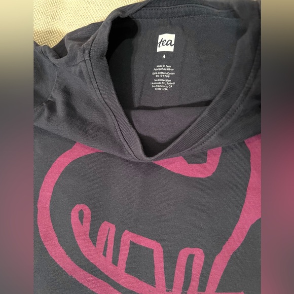 Tea Collection long sleeve t-shirt, violet-blue, pink dinosaur print. Size 4t - Picture 2 of 4